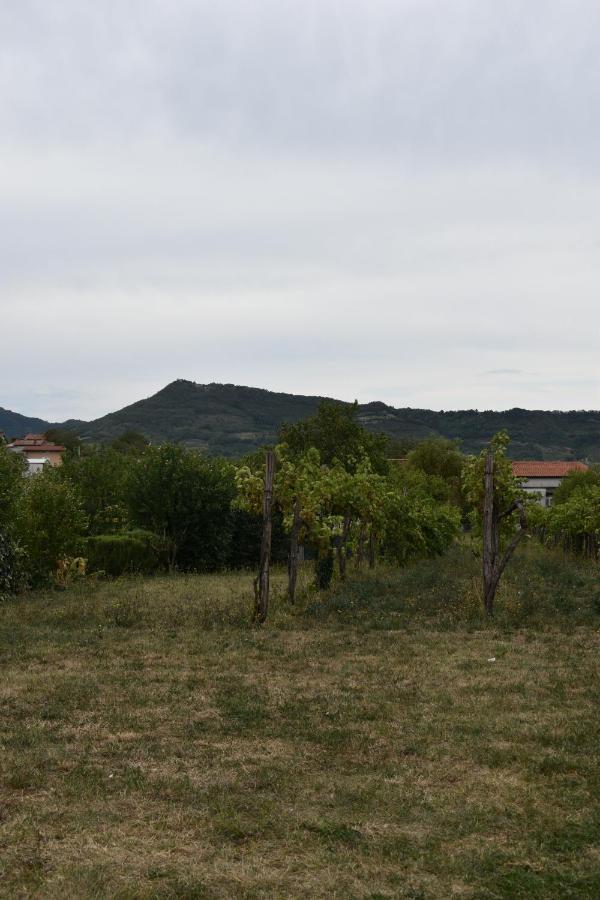 Small House In Vipava Valley Exteriör bild